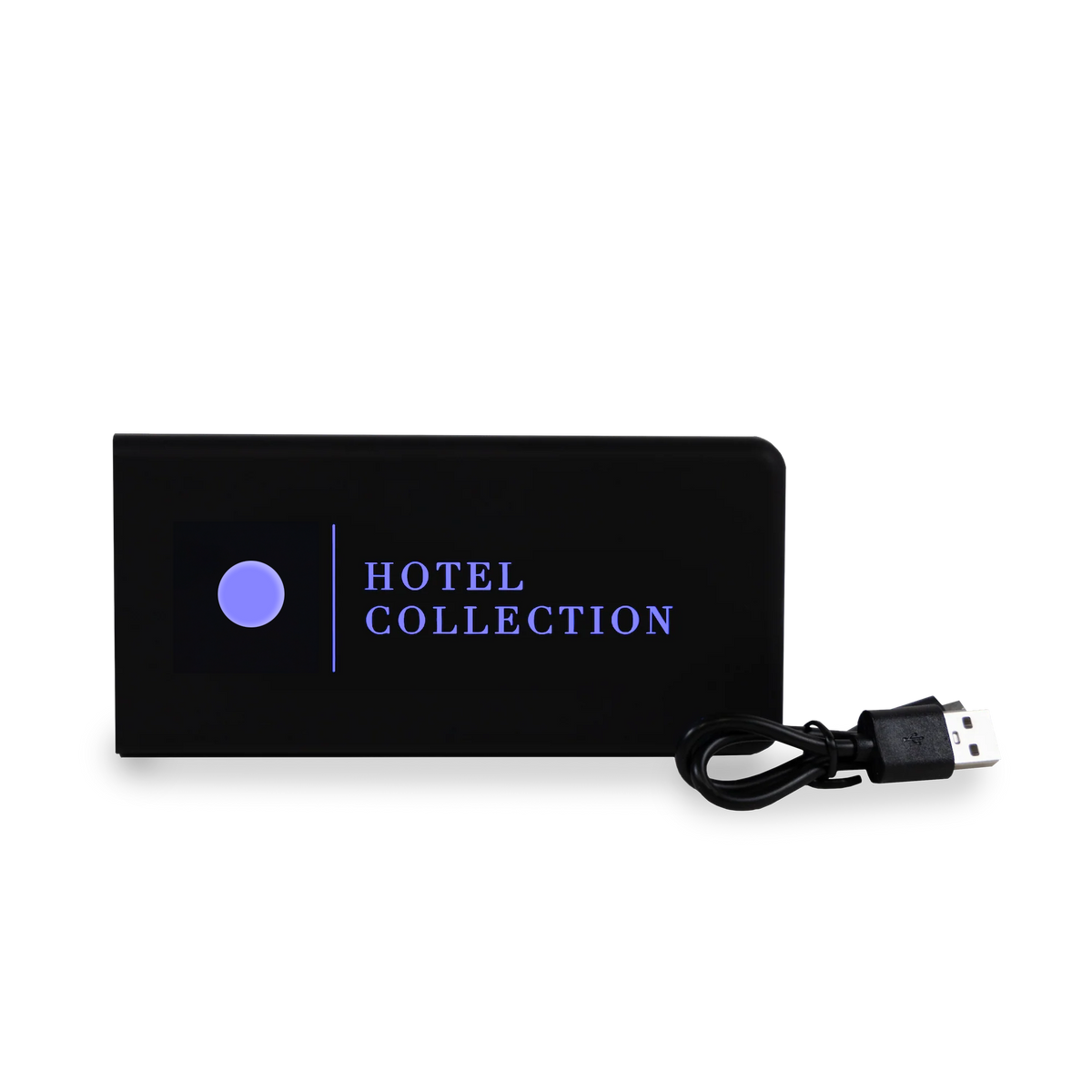 Portable USB Charger