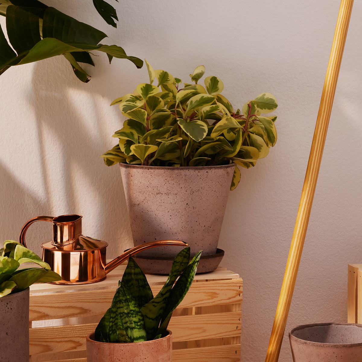 Julie Ø21 Planter & Saucer