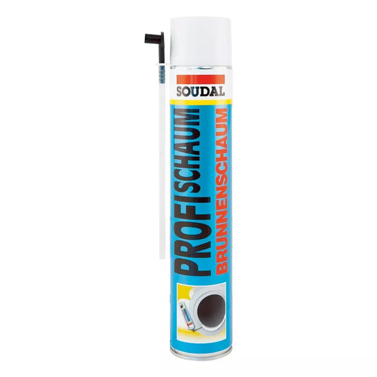 1K Brunnenschaum, 750 ml-Dose, champagner